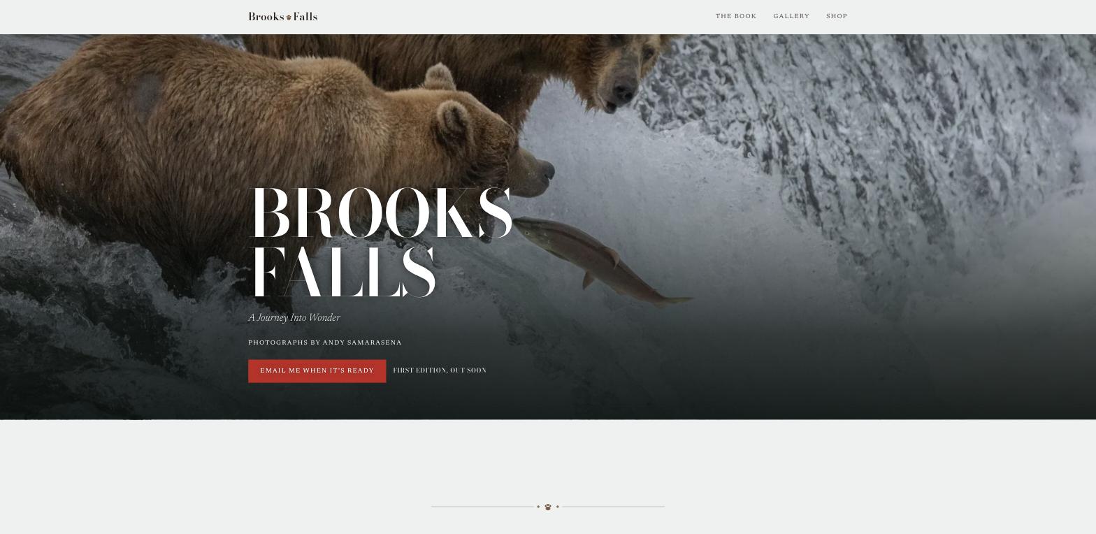 Screenshot of Brooks Falls